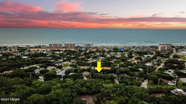 4791 S Peninsula Dr, Ponce Inlet, FL 32127 - birds eye view of property with a water view