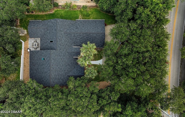 4791 S Peninsula Dr, Ponce Inlet, FL 32127 - birds eye view of property