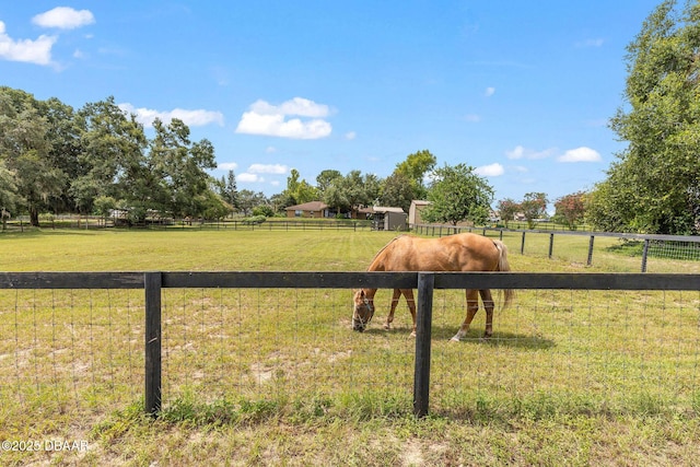 12229 Lane Park Rd, Tavares, FL 32778 - photo 55