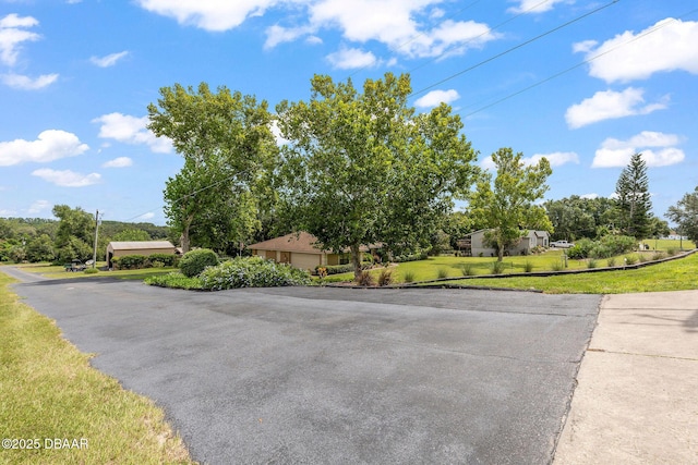 12229 Lane Park Rd, Tavares, FL 32778 - photo 62