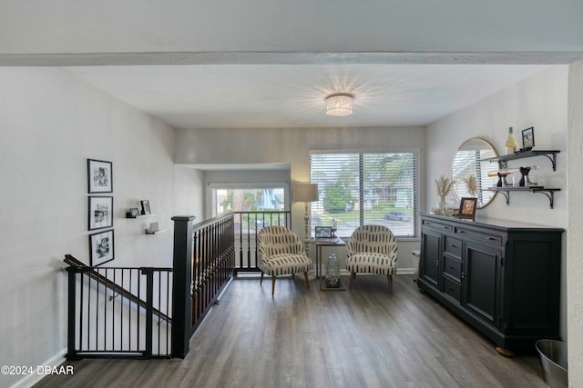 sitting room with dark hardwood / wood-style floors