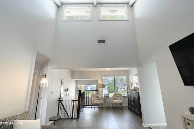 entryway with a high ceiling and dark hardwood / wood-style floors