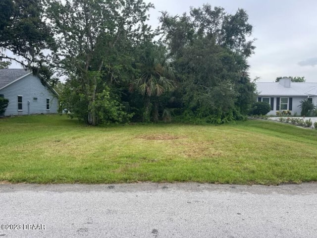 1236 Wayne Ave, New Smyrna Beach FL, 32168 land for sale