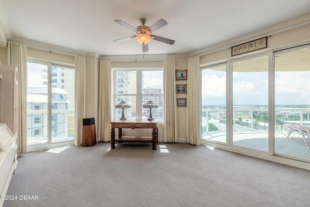 interior space featuring ceiling fan and plenty of natural light