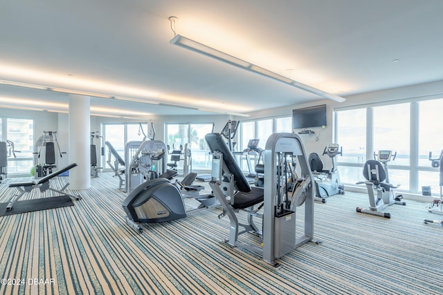 workout area featuring carpet and plenty of natural light