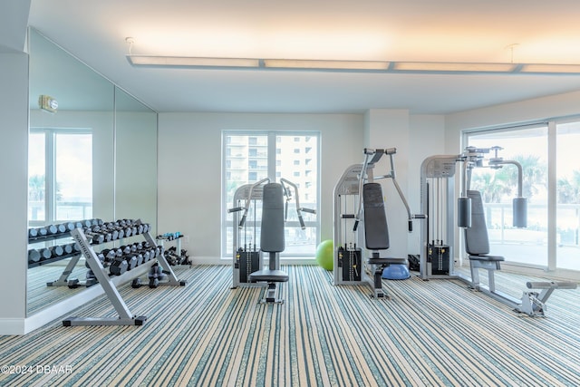 workout area with carpet and plenty of natural light