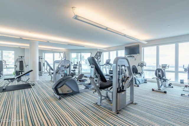 3703 S Atlantic Ave Unit 501, Daytona Beach Shores, FL 32118 - gym featuring carpet flooring