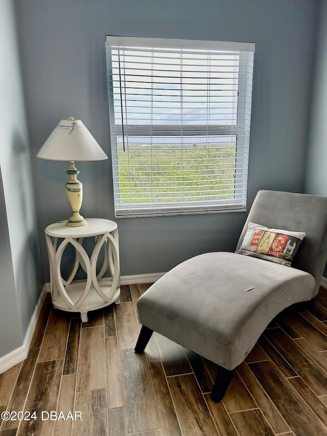 sitting room featuring wood-type flooring