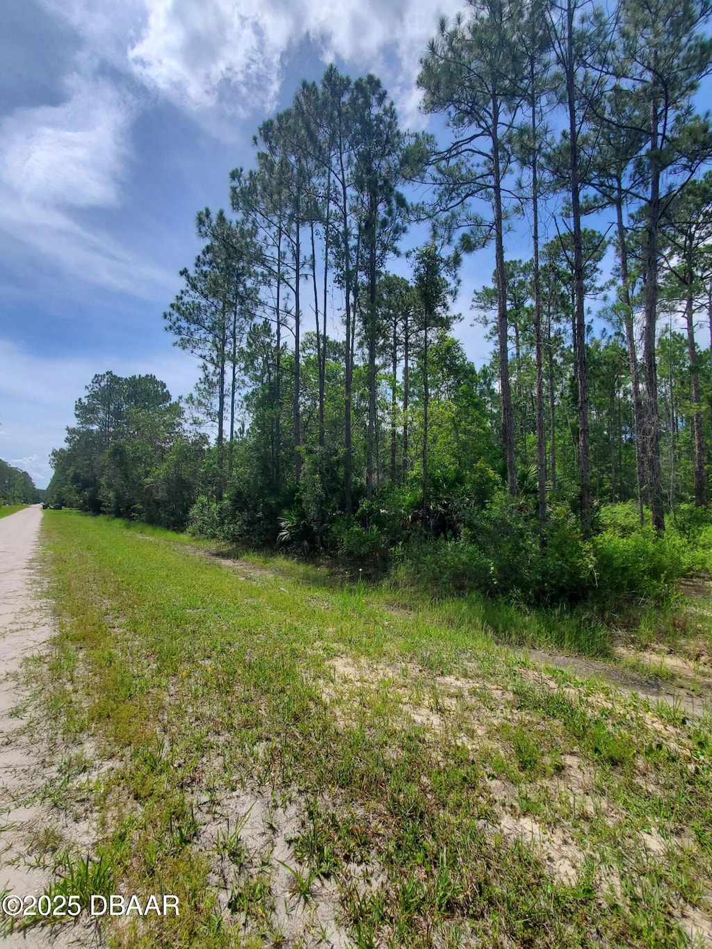 5540 Chestnut Ave, Bunnell, FL 32110