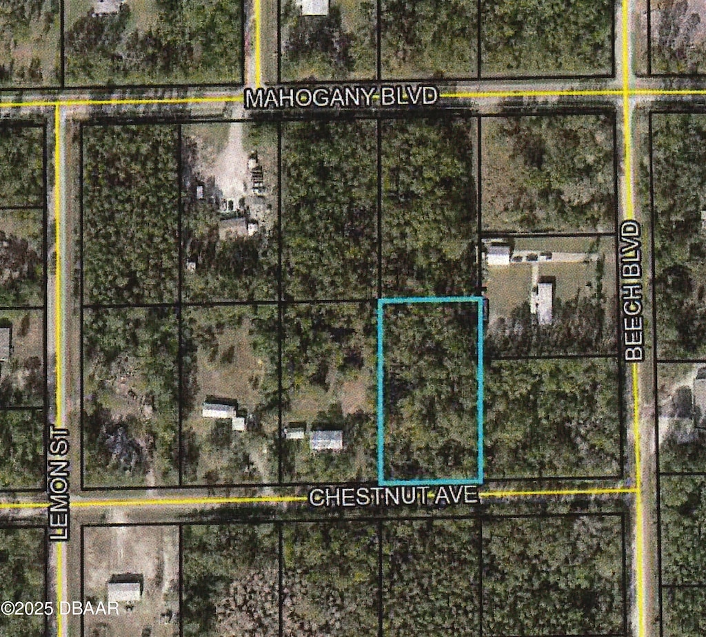 5540 Chestnut Ave, Bunnell, FL 32110