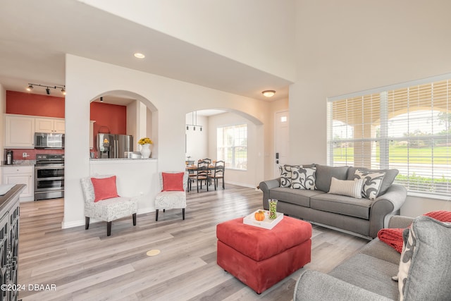 living room featuring light hardwood / wood-style floors and rail lighting