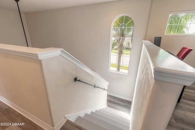 stairway with hardwood / wood-style flooring