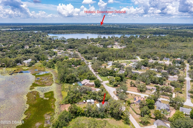2421 W Lake Dr, Deland, FL 32724 - photo 40