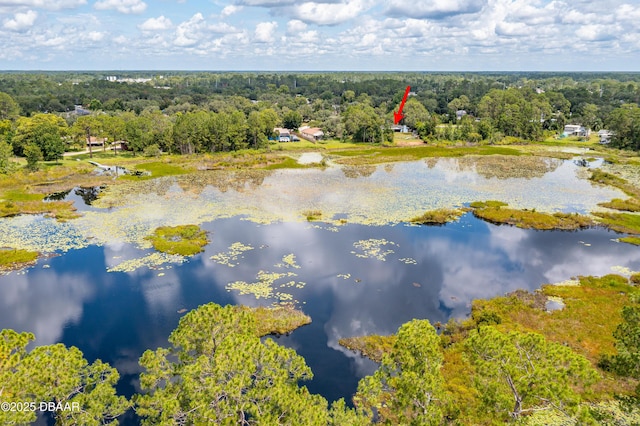 2421 W Lake Dr, Deland, FL 32724 - photo 6