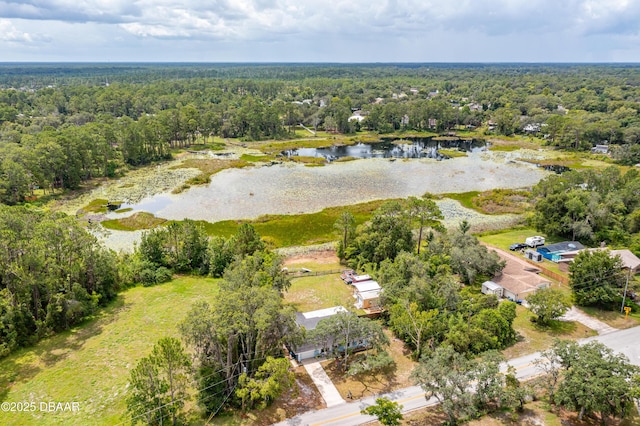 2421 W Lake Dr, Deland, FL 32724 - photo 38