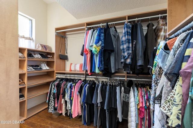 walk in closet with wood finished floors