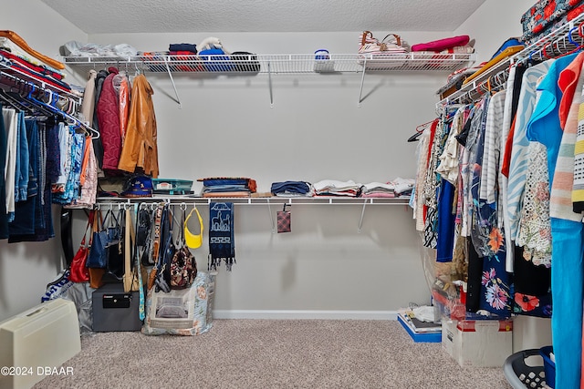 walk in closet featuring carpet flooring