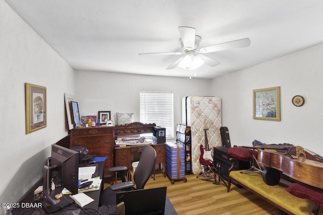 home office featuring ceiling fan and light wood-type flooring