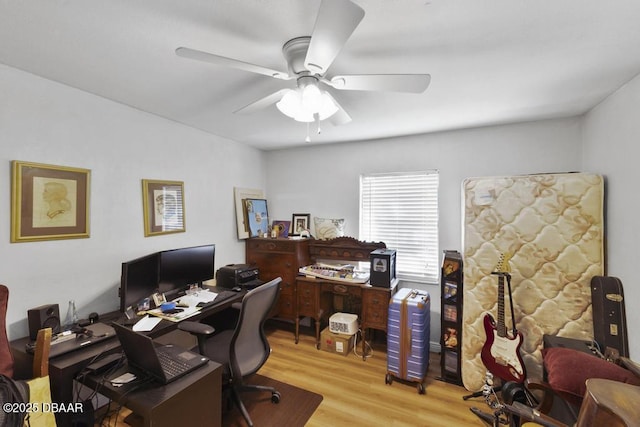 office featuring light hardwood / wood-style floors and ceiling fan