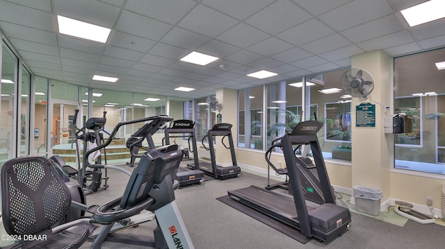 workout area featuring a paneled ceiling and carpet flooring