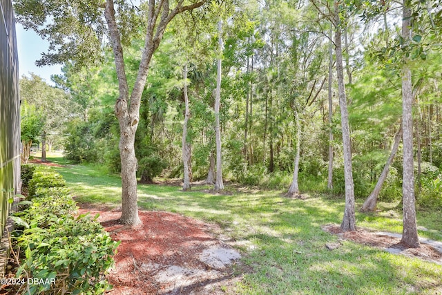 1229 Champions Dr, Daytona Beach, FL 32124 - photo 39