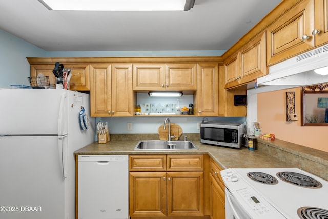 4151 S Atlantic Ave Unit 317, New Smyrna Beach, FL 32169 - photo 6