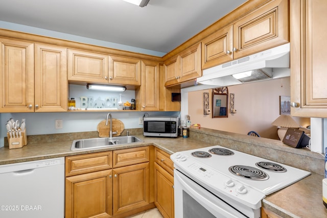 4151 S Atlantic Ave Unit 317, New Smyrna Beach, FL 32169 - photo 3