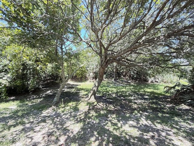 4405 Sea Mist Dr Unit 114, New Smyrna Beach, FL 32169 - photo 5