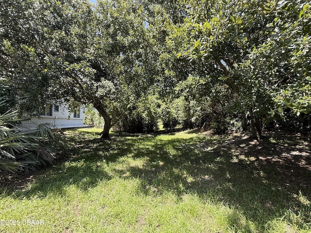 4405 Sea Mist Dr Unit 114, New Smyrna Beach, FL 32169 - photo 8