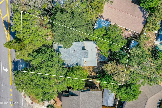1011 S Peninsula Dr, Daytona Beach, FL 32118 - aerial overview of property's location with property boundaries highlighted