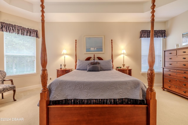 bedroom with a tray ceiling and carpet