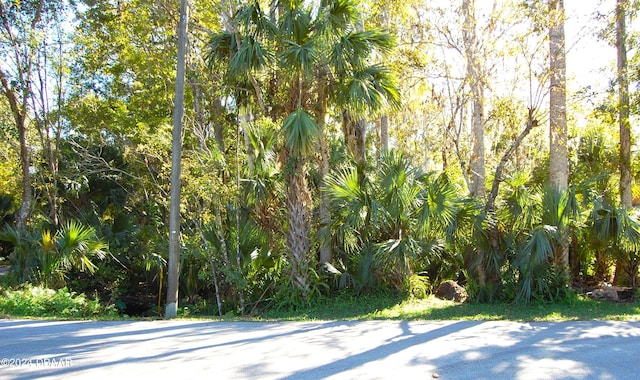 0 Palm Dr, New Smyrna Beach FL, 32168 land for sale