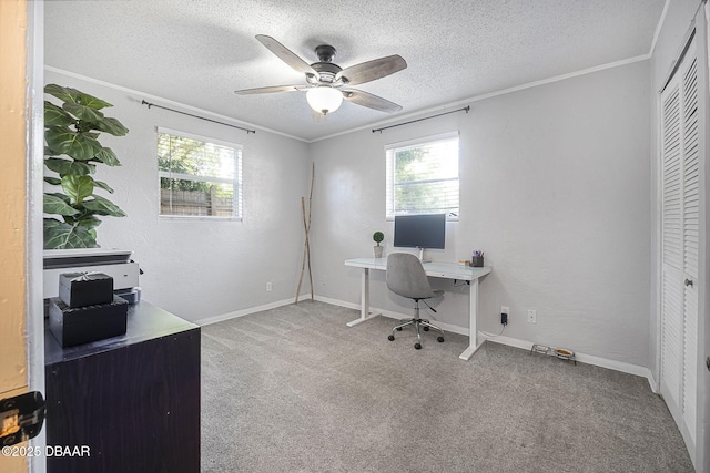 carpeted home office with a textured wall, a textured ceiling, ornamental molding, and ceiling fan