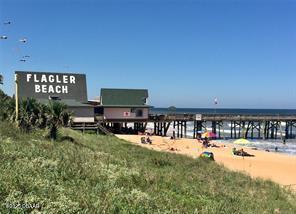 265 Ocean Palm Dr, Flagler Beach, FL 32136 - photo 26