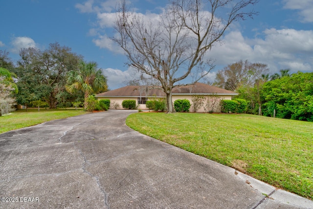 ranch-style home with driveway and a front lawn