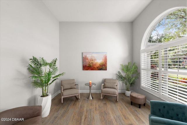 sitting room featuring hardwood / wood-style floors and a healthy amount of sunlight