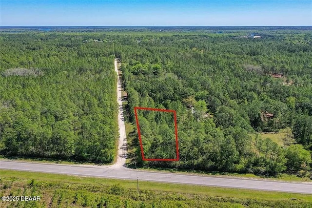 5 E Satsuma St, Palatka FL, 32177 land for sale