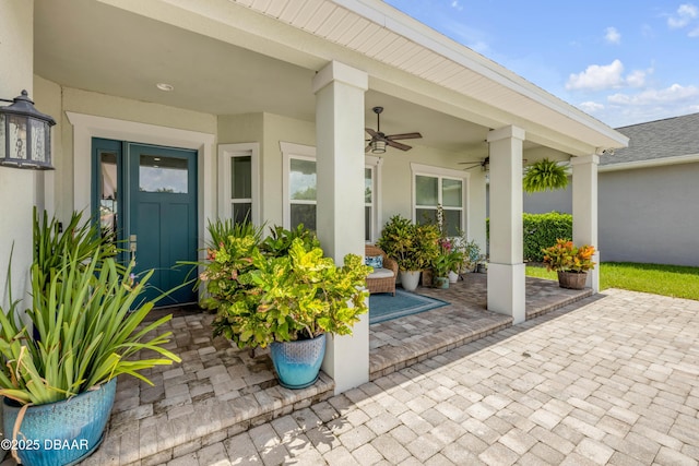 2916 Bella Flore Ter, New Smyrna Beach, FL 32168 - photo 2