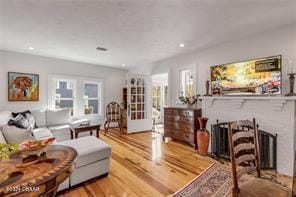 living room featuring wood-type flooring