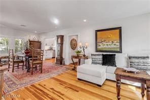 living room with wood-type flooring