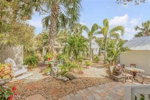 view of yard featuring a patio area