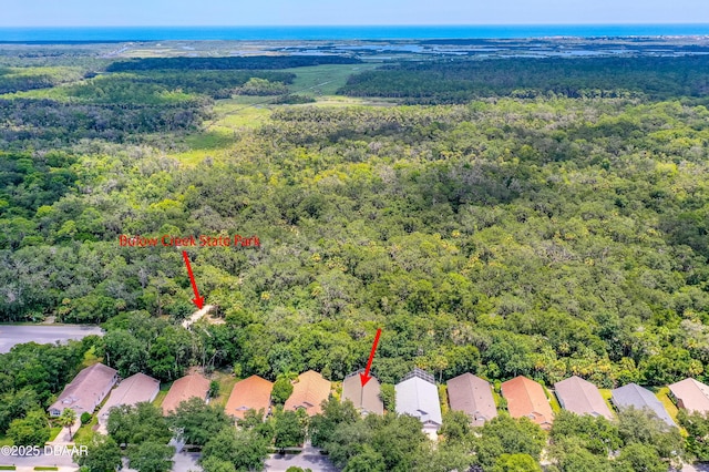 3227 Galty Cir, Ormond Beach, FL 32174 - photo 39