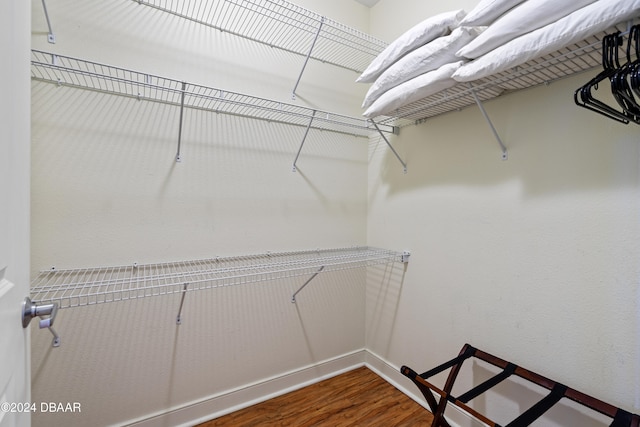 walk in closet featuring hardwood / wood-style flooring