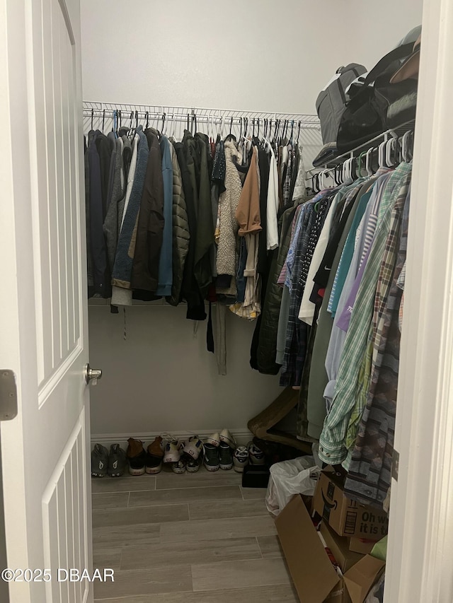 view of walk in closet