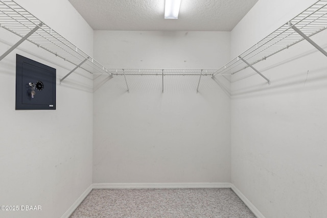 7 Sea Park Ter, Ormond Beach, FL 32176 - spacious closet featuring carpet flooring