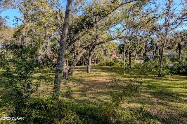 5040 Westridge Ave, Port Orange, FL 32127 - photo 5