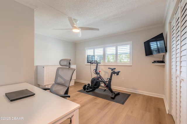 home office with baseboards, light wood finished floors, ornamental molding, ceiling fan, and a textured ceiling