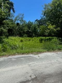 343 Division St, Daytona Beach FL, 32114 land for sale