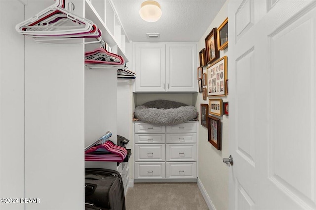 spacious closet featuring light colored carpet