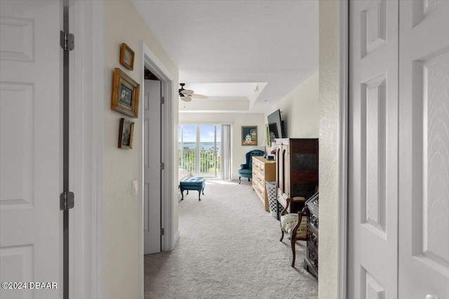 corridor featuring a raised ceiling and carpet floors